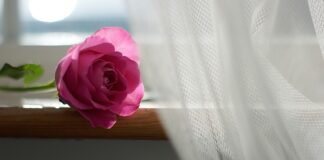 Na czym powiesić firanki bez wiercenia? Na czym powiesić firanki bez wiercenia?