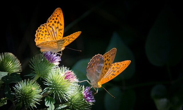 Z czym połączyć masę Kinder Bueno? Z czym połączyć masę Kinder Bueno?