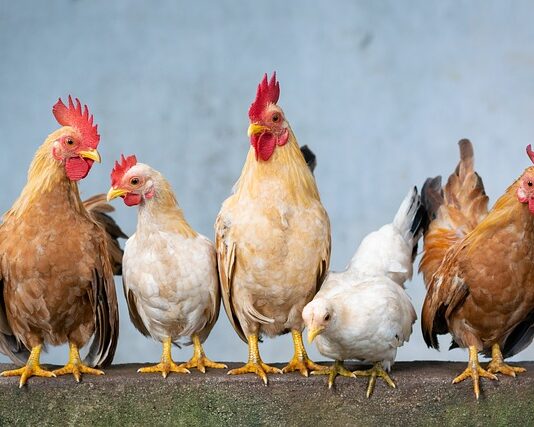 Jaki wieszak do małego przedpokoju?