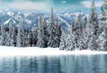 Co jest pierwsze top czy baza?