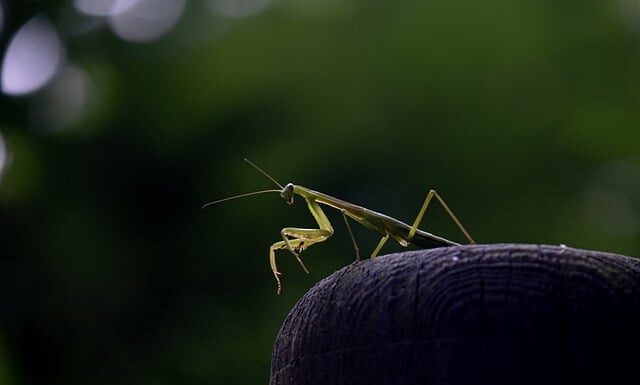 Co jest większe A4 czy A5?