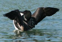Ile jest wszystkich księżyców w Układzie Słonecznym? Ile jest wszystkich księżyców w Układzie Słonecznym?