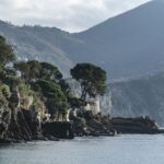 Ile kosztuje zarejestrowanie roweru na policji?