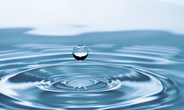 Po co woda do biszkoptu? Po co woda do biszkoptu?