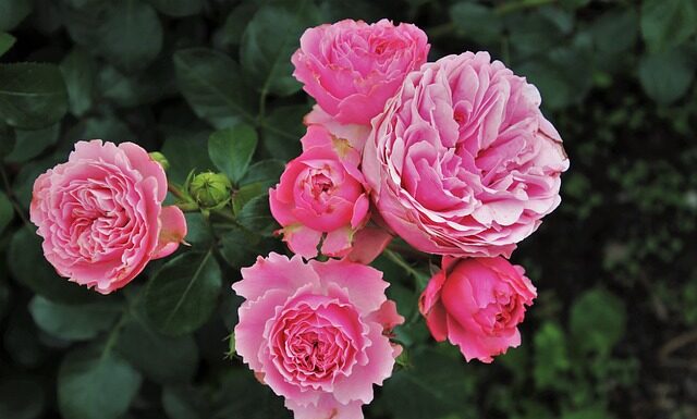 Czy Pink test jest wiarygodny? Czy Pink test jest wiarygodny?