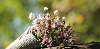 Czy gipsówka jest trwała?