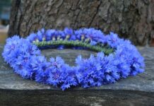 Jak zrobić wianek z liści na głowę?