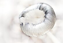 Kiedy test pokazuje 2 kreski? Kiedy test pokazuje 2 kreski?