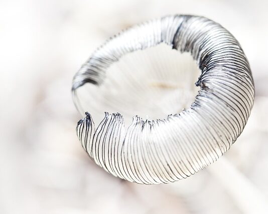 Kiedy test pokazuje 2 kreski? Kiedy test pokazuje 2 kreski?