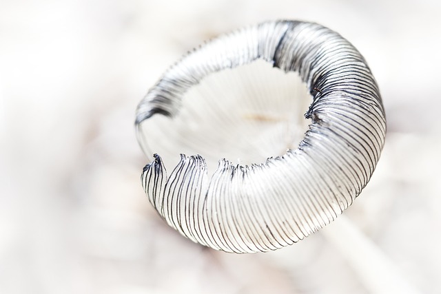 Kiedy test pokazuje 2 kreski? Kiedy test pokazuje 2 kreski?