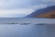 Kto ma najwięcej torebek Hermes?