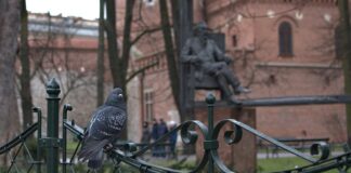 Co dać zamiast Planty? Co dać zamiast Planty?