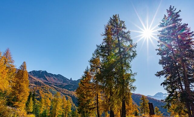 Jak się robi masę cukrową?